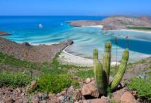 Balandra será tema central de foro ambiental en La Paz