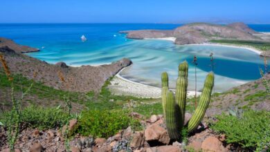 Balandra será tema central de foro ambiental en La Paz