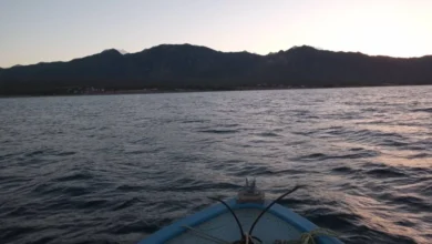 Baja California Sur suma tres nuevas zonas protegidas para fortalecer la pesca sustentable