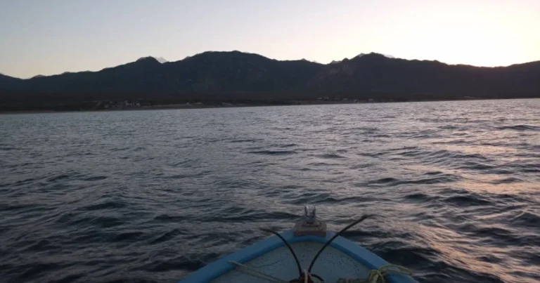 Baja California Sur suma tres nuevas zonas protegidas para fortalecer la pesca sustentable