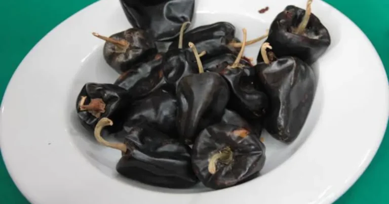 chile chilhuacle, el ingrediente emblemático que da identidad al mole negro de oaxaca