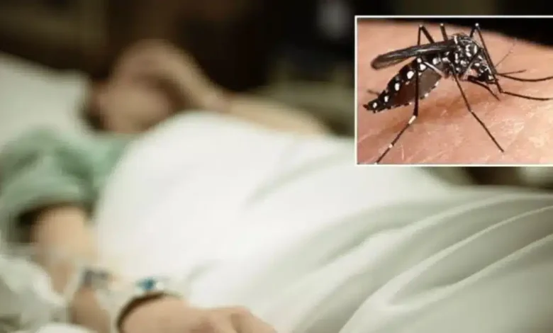 dengue en méxico reportan 4 fallecimientos y más de 2,000 casos en los primeros cinco meses de 2026