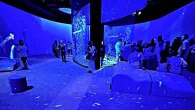 Discovery Center busca fomentar la conservación del Golfo de California en Los Cabos