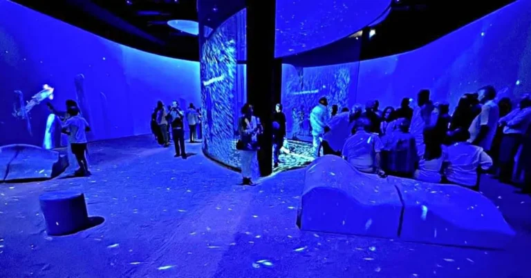 Discovery Center busca fomentar la conservación del Golfo de California en Los Cabos