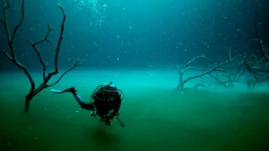 El misterioso río submarino que fluye en las profundidades del cenote Angelita (Foto por Gluup)