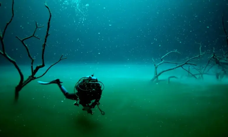 El misterioso río submarino que fluye en las profundidades del cenote Angelita (Foto por Gluup)