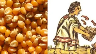 El momochitl el origen ceremonial de las palomitas de maíz en la época prehispánica (Fotos Redes Sociales)