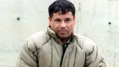 "El Chapo" suma 15 cartas a Corte de NY, exige su extradición (Foto de internet)