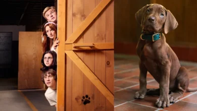 lanzan el primer tráiler de la serie scooby doo origins
