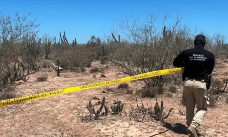 Localizan fosa clandestina con restos óseos en el municipio de Comondú (Foto por Tribuna)