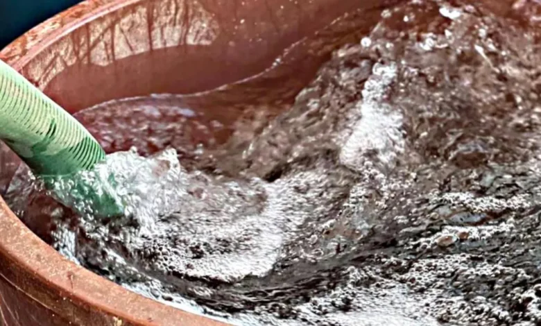 Agua distribuida por pipas llevará larvicida para evitar reproducción del mosquito del dengue