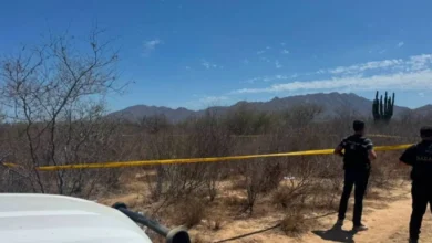 autoridades investigan hallazgo de fosa clandestina en baja california sur