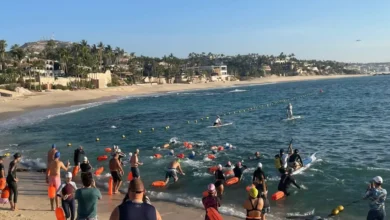 Baja Swim Series impulsa el turismo deportivo en Los Cabos