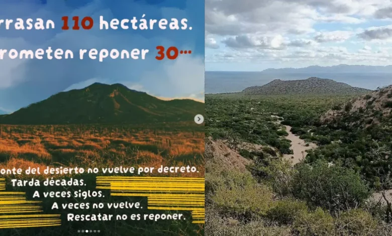 Ciudadanía busca frenar ecocidio en playa El Saltito (Fotos Contener La Paz y Fabien P)