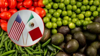 Empresas de Estados Unidos rechazan restricciones a productos agrícolas de México (Fotos de internet)