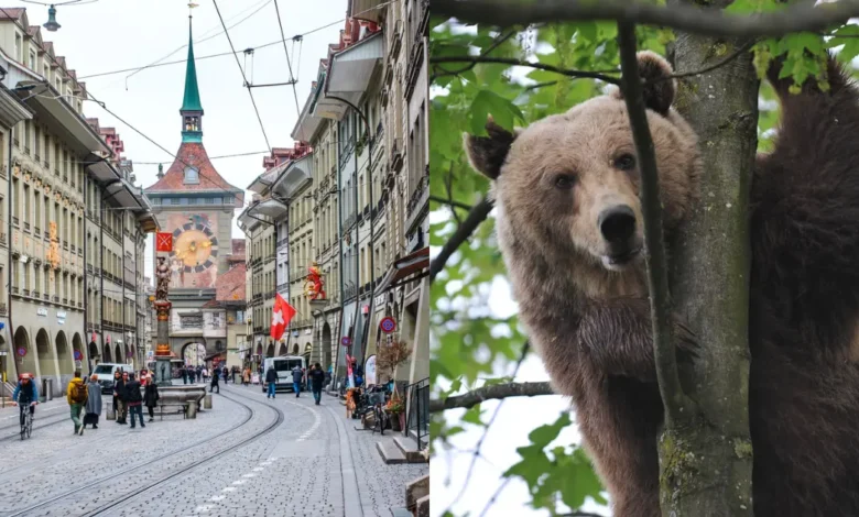 3 atractivos imperdibles de Berna, Suiza (Fotos de internet)