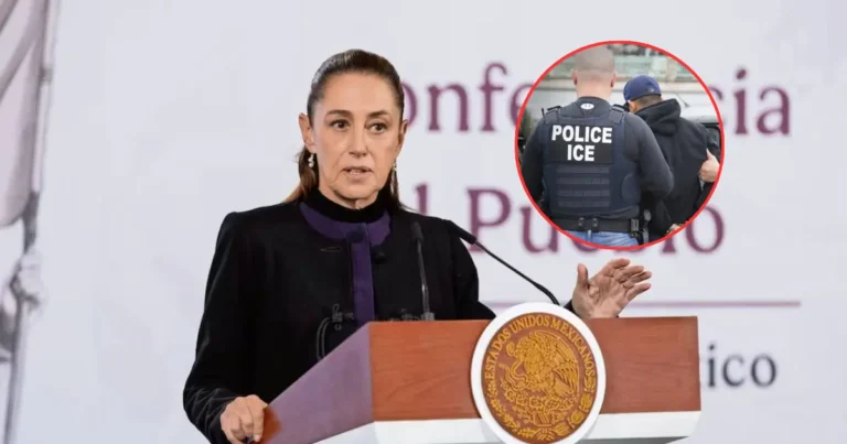 México comienza acciones legales contra ICE tras 17 connacionales fallecidos (Fotos de internet)