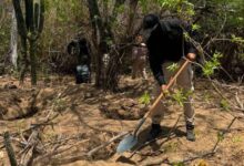 investigan hallazgo de dos fosas clandestinas