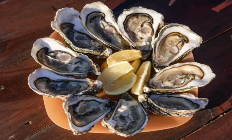 ostiones ahumados al tapesco el platillo tradicional que conquista la gastronomía de tabasco