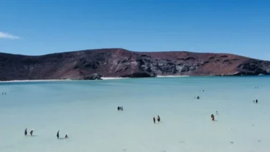 playas de baja california sur son aptas para vacaciones de verano, confirma coepris