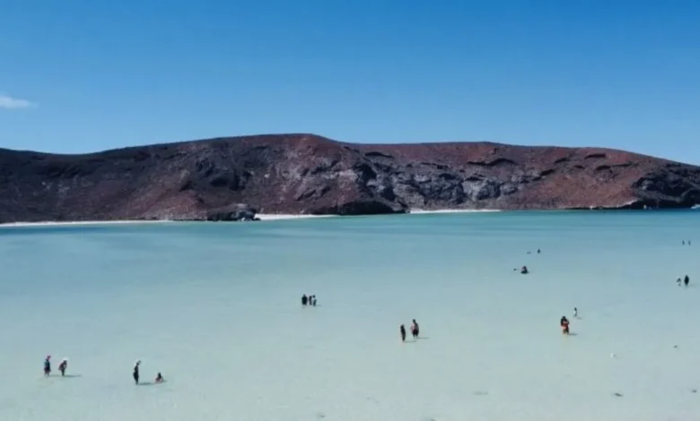 playas de baja california sur son aptas para vacaciones de verano, confirma coepris