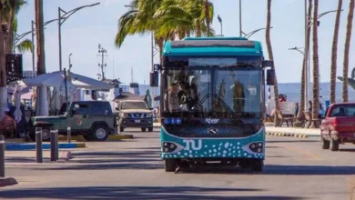 tiburón urbano en la paz recibirá nuevas unidades a finales de 2026