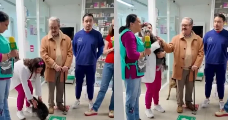 video pedro sola visita refugio de perros tras polémica “estuve a punto de llorar”