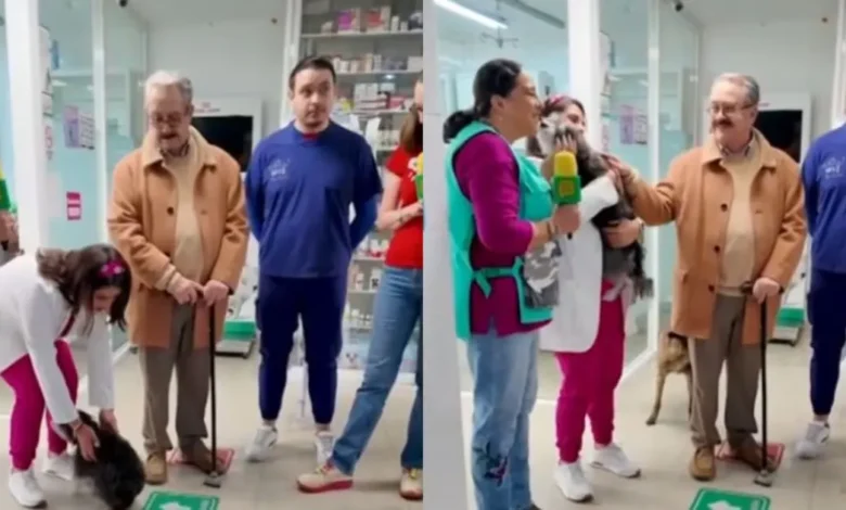 video pedro sola visita refugio de perros tras polémica “estuve a punto de llorar”