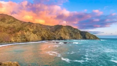 buscan a pescador de bahía tortugas rumbo a loreto