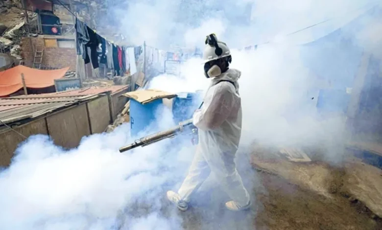 Fumigación contra el dengue avanza en BCS, inicia en Loreto (Foto de internet)