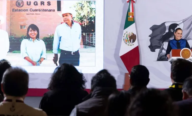 sonora reabre frontera con estados unidos para exportación de ganado sheinbaum