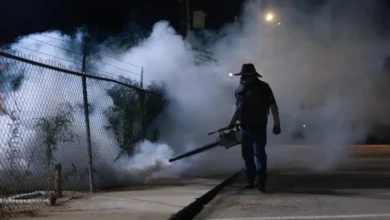 dengue en baja california sur fumigan 23 mil hectáreas en la paz y los cabos