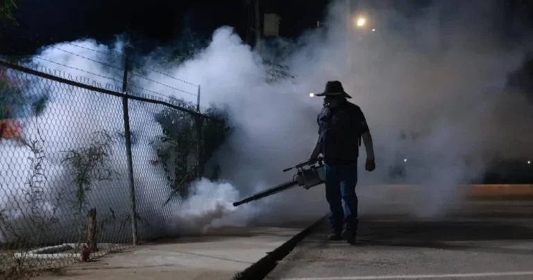 dengue en baja california sur fumigan 23 mil hectáreas en la paz y los cabos
