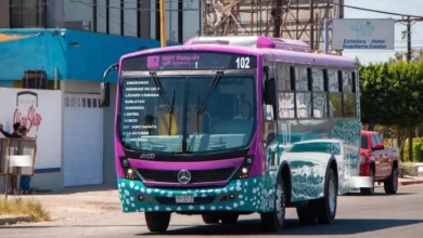 tiburón urbano en la paz con nuevo horario