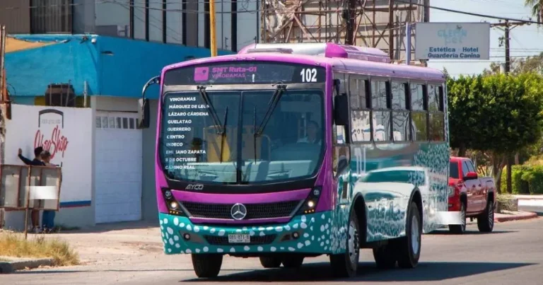 tiburón urbano en la paz con nuevo horario