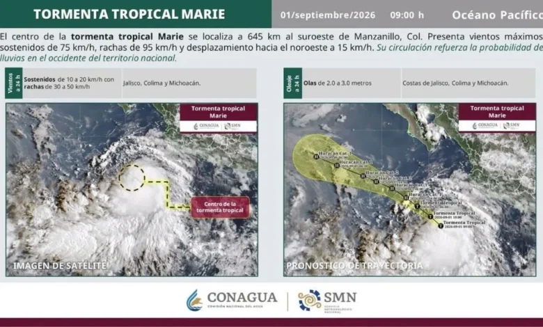 VIDEO: Tormenta tropical Marie podría convertirse en huracán frente a Baja California Sur